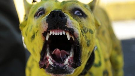 México: Delincuentes atrapan a presunto violador y dejan que un pitbull le destroce los genitales