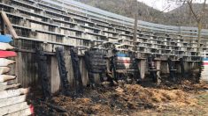 Defensores de animales incendiaron partes de estadio en Chile en protesta contra el rodeo