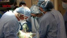 Una enfermera dona parte del hígado para salvar la vida de un niño de ocho años
