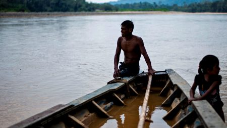 Inversión china en el río Amazonas podría hacer peligrar todo su ecosistema, señalan expertos