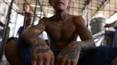 FBI promueve nuevo teléfono para denunciar el MS-13 con ayuda de una víctima a quien mataron su hijo