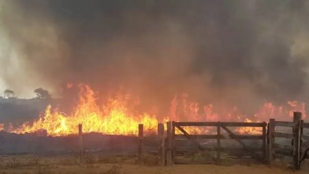 Sem-terra queima floresta para barrar reintegração de posse, afirmam autoridades