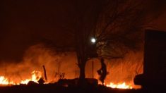 África tem o triplo dos incêndios registrados no Brasil