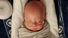 Bebé de medio kilo que luchó por su vida por 3 meses regresa a casa luego de una notable recuperación