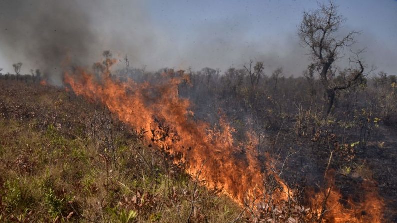 Vista de um incêndio perto de Charagua, na Bolívia, na fronteira com o Paraguai, sul da bacia amazônica, em 29 de agosto de 2019. - Incêndios destruíram 1,2 milhão de hectares de florestas e pastagens na Bolívia este ano, informou o governo na quarta-feira, embora ambientalistas afirmam que o número real é muito maior. (Foto de AIZAR RALDES / AFP / Getty Images)