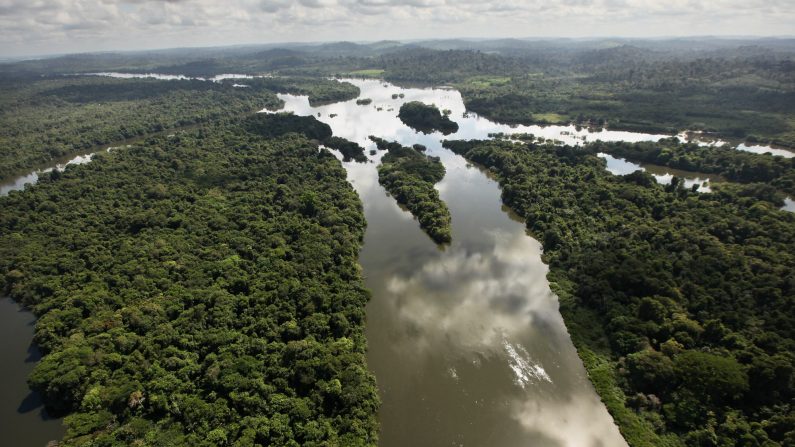 O sobrevoo da floresta amazônica durante horas mostra um verdadeiro "oceano verde" que nega notícias alarmantes e frequentemente falsas sobre "desmatamento" e "queimadas" (Mario Tama/Getty Images)