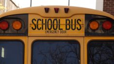 «Todavía hay niños allí»: Niño llama al 911 y dice que la chofer del autobús escolar está borracha
