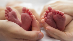 Video de gemelas recién nacidas tomándose de la mano provoca un cúmulo de ternura en internet