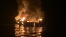 Se cree que una bióloga y una niña están entre los fallecidos del barco incendiado en California