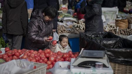 Primeros casos confirmados del ‘ébola de las plantas’ en tomates chinos