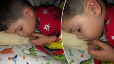Niño de 4 años decide dormir abrazado de su pez dorado: “Solo quería acariciarlo”