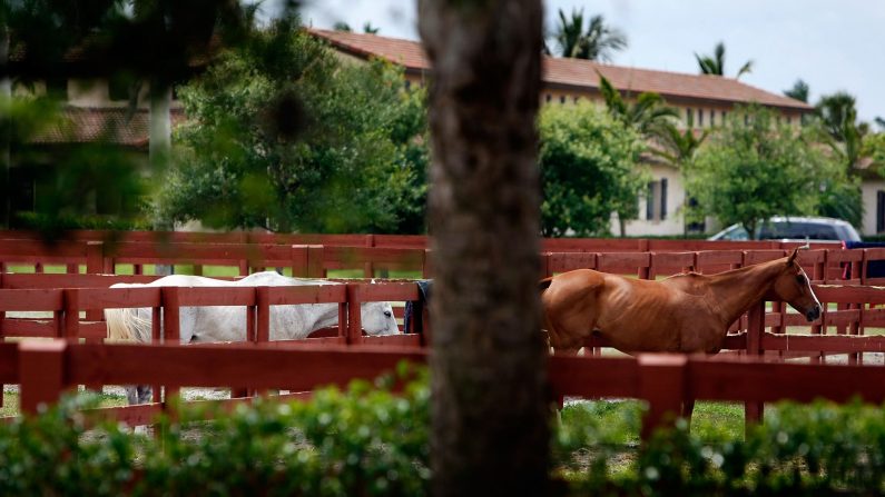 Estábulos de cavalos de Lechuza Caracas, em Wellington, Flórida (Foto de Joe Raedle / Getty Images)