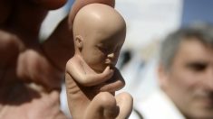 La Casa Blanca pide investigar a un médico abortista que tenía más de 2000 restos fetales en su casa