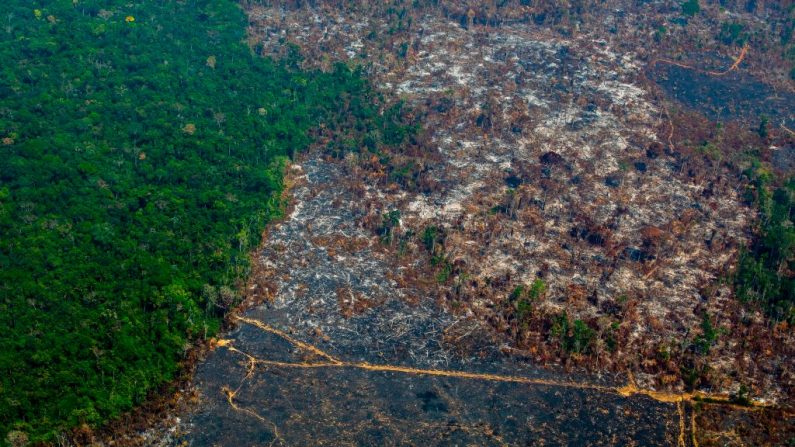 Vista aérea do desmatamento na Reserva Biológica Nascentes da Serra do Cachimbo em Altamira, Pará, Brasil, na bacia amazônica, em 28 de agosto de 2019 (Foto por JOAO LAET / AFP / Getty Images)