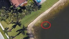 Encuentran en Google Earth los restos de un hombre desaparecido hace 20 años en Florida