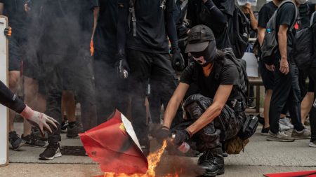 Manifestantes pró-Hong Kong se reúnem nos Estados Unidos