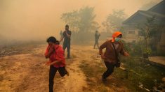 Nuvem vermelha provocada por incêndios florestais causa alarde na Indonésia