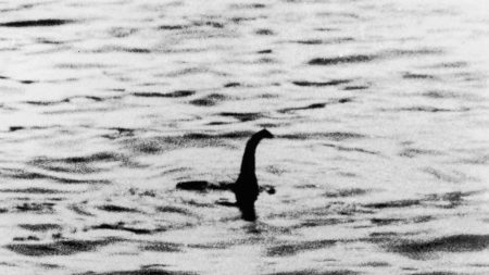 Pesquisa aponta que Monstro do Lago Ness poderia ser uma enguia gigante