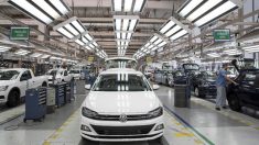 Começa mega processo contra Volkswagen por manipulação de dados de poluentes