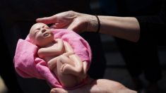 Médico abortista que guardó fetos culpó a la Segunda Guerra Mundial por su «percepción» de la humanidad