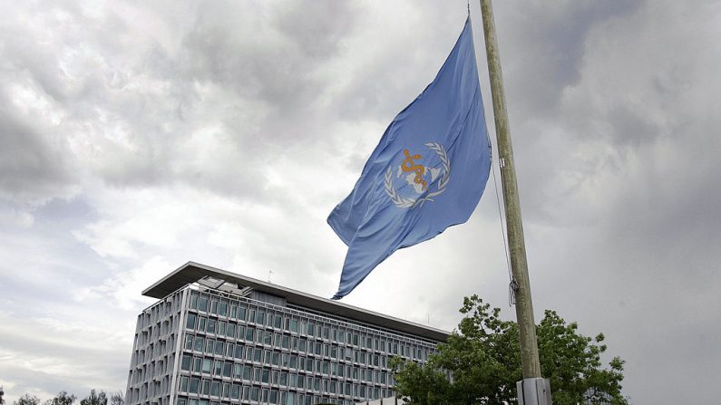 A bandeira da Organização Mundial da Saúde (OMS) voa a meio mastro em frente à sede da OMS em Genebra, em 22 de maio de 2006, como uma marca de respeito pelo diretor-geral da OMS Lee Jong-wook, que morreu no início do dia (Foto de FABRICE COFFRINI / AFP / Getty Images)