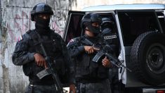 ONG acusa polícia venezuelana de realizar «execuções extrajudiciais»