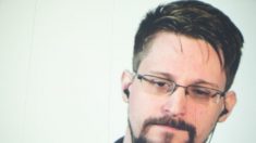 Snowden pode trocar de refúgio, mas está mais seguro na Rússia, diz advogado