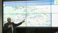 Operação Verde Brasil: multas na Amazônia somam R$ 36 milhões