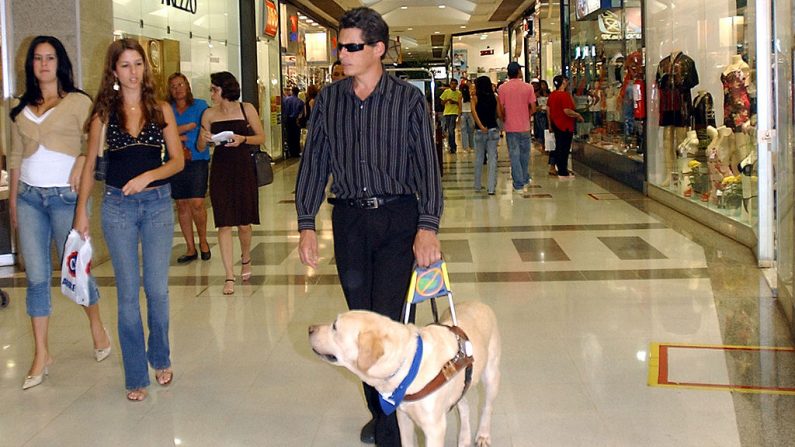 Imagen de archivo de un hombre ciego cambinando con su perro guía. (Wikimedia commons)