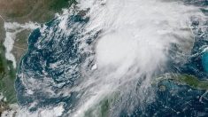 Tormenta tropical Néstor pene en alerta a estados costeros del Golfo de México