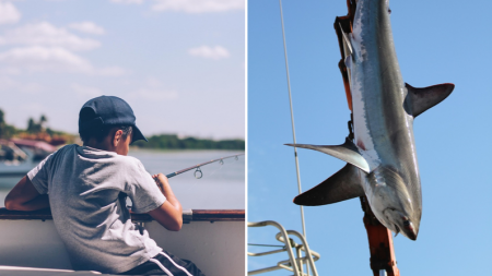 Niño de 8 años captura a un tiburón de 314 kg y rompe el récord mundial de pesca juvenil