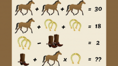 ¿Puedes resolver este problema de álgebra de caballos? Ha provocado un debate entre los cibernautas