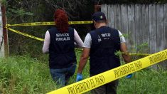 Hallan nueve cuerpos en fosa clandestina usada por capo en el norte de México