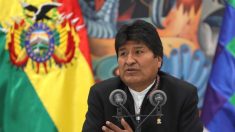Evo Morales anuncia nuevas elecciones en Bolivia tras el informe de la OEA