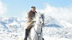 Kim Jong-un publica fotos épicas a caballo blanco como un hito en su liderazgo