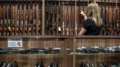Controle de armas e aumento da criminalidade no Brasil