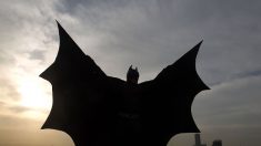 Criatura com corpo humano e cabeça de morcego: seria o Batman da cultura maia?