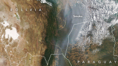 Un río de humo se ve en el cielo, son los 5 millones de hectáreas quemadas en el amazonia de Bolivia