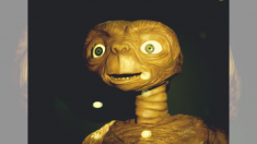 35 anos após estréia de «ET: O Extraterrestre», é revelado final diferente do que vimos na tela