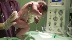 Médico trae al mundo a 8 bebés en el mismo día en España en una larga jornada que rompió record