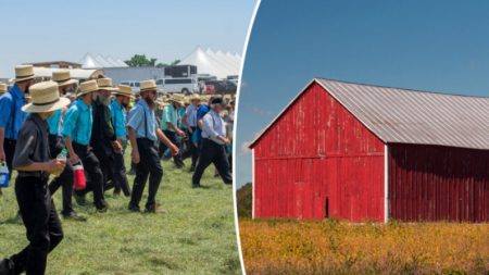 Video: 250 hombres Amish trasladan un granero completo con sus propias manos