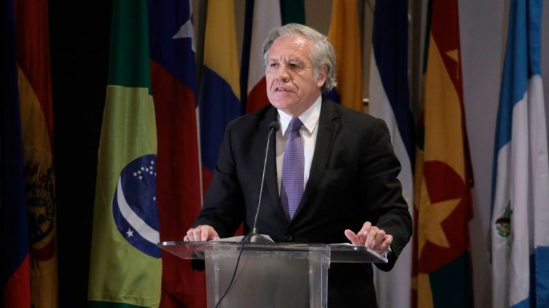 El político uruguayo Luis Almagro, Secretario General de la Organización de los Estados Americanos, pronuncia un discurso en Panamá, el 29 de julio de 2019. (MAURICIO VALENZUELA/AFP/Getty Images)
