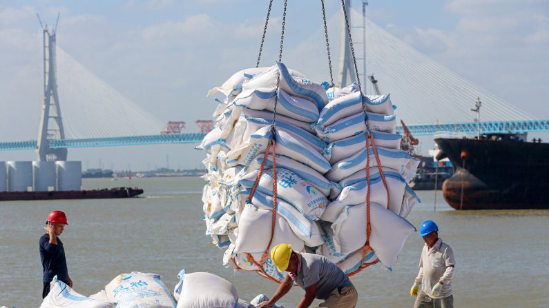 Trabajadores transfieren productos hechos con soja en un puerto de Nantong, en la provincia oriental china de Jiangsu, el 19 de septiembre de 2019. (Foto de STR / AFP) / China OUT (STR/AFP/Getty Images)