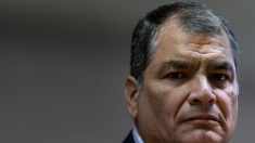 Ecuador: Procurador pide que cúpula del Gobierno Correa pague USD 23 millones por sobornos