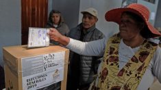 El Constitucional admite un recurso a una ley sobre las elecciones en Bolivia