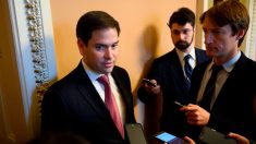 Marco Rubio sobre Venezuela: «El régimen está realmente estancado»