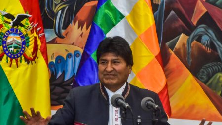 Bolivia acepta auditoría de organismos internacionales para despejar dudas de fraude en elecciones