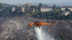 Schwarzenegger y varias superestrellas abandonan sus mansiones por los incendios en California