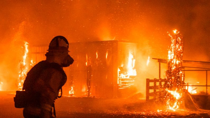 Bomberos luchan contra un incendio impulsado por el viento en una granja durante el incendio de Kincade en Windsor, California, el 27 de octubre de 2019. (PHILIP PACHECO/AFP vía Getty Images)

