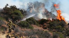 Miles de californianos sufrirán apagones programados para prevenir incendios